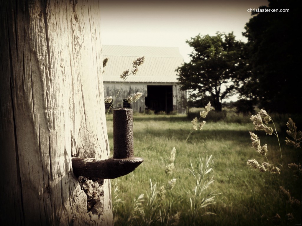 Photography {abandoned country barn} 