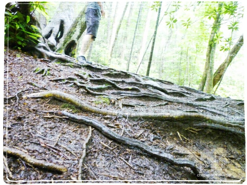 hiking feet on a rough trail