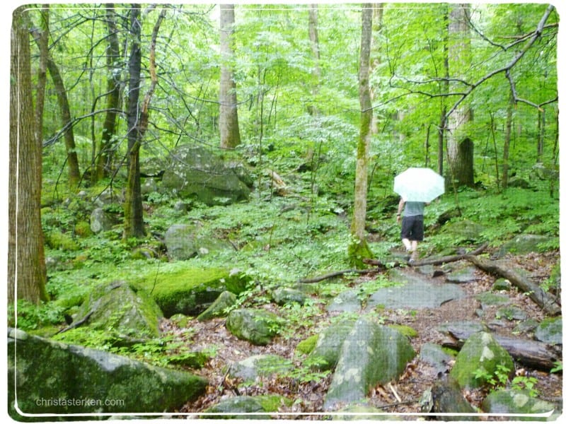 back of a man walking through a green forest in the rain