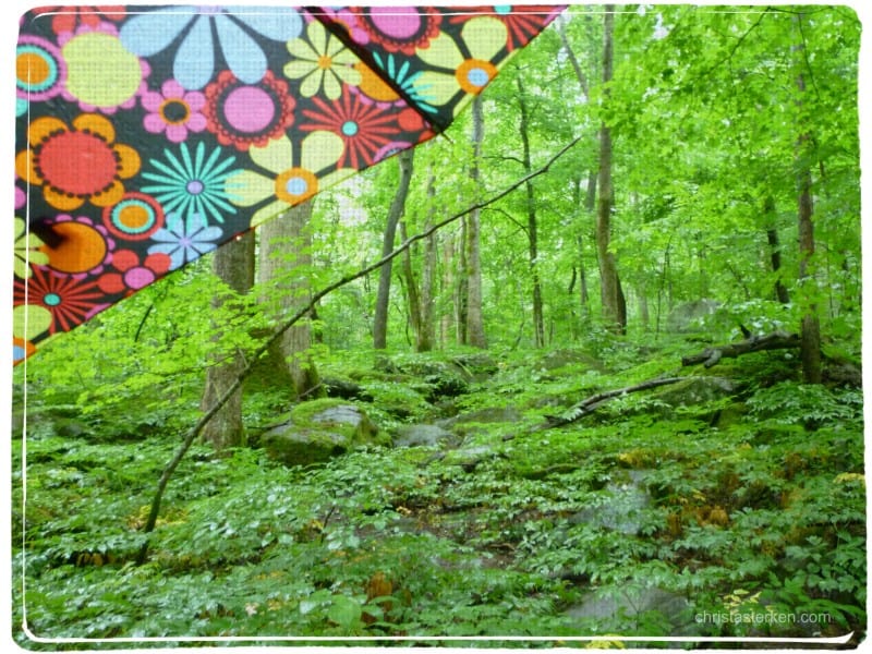 floral umbrella in a lush green forest