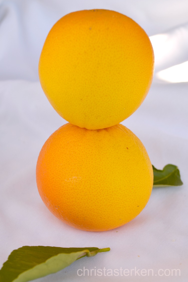 Photography (SoCal Orange Blossoms}