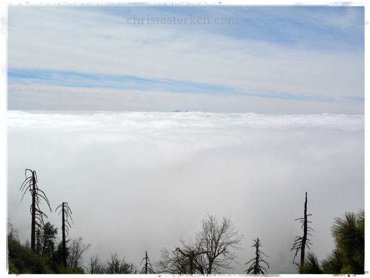 Photography {California Dreaming-San Bernardino Mountains}