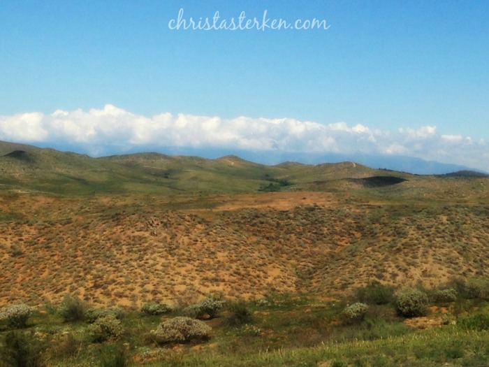 Photography {California Dreaming-The Foothills and Valleys}