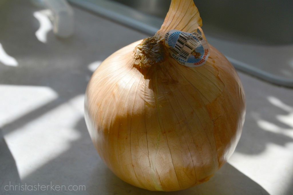 onion sitting on the counter