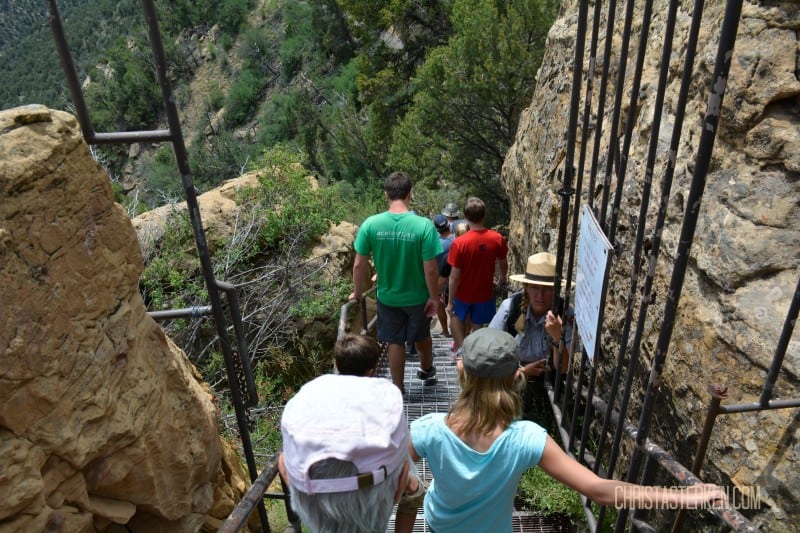 Face Fear In A Mesa Verde Cliff Dwelling (how I overcame the scariest day of my life) 