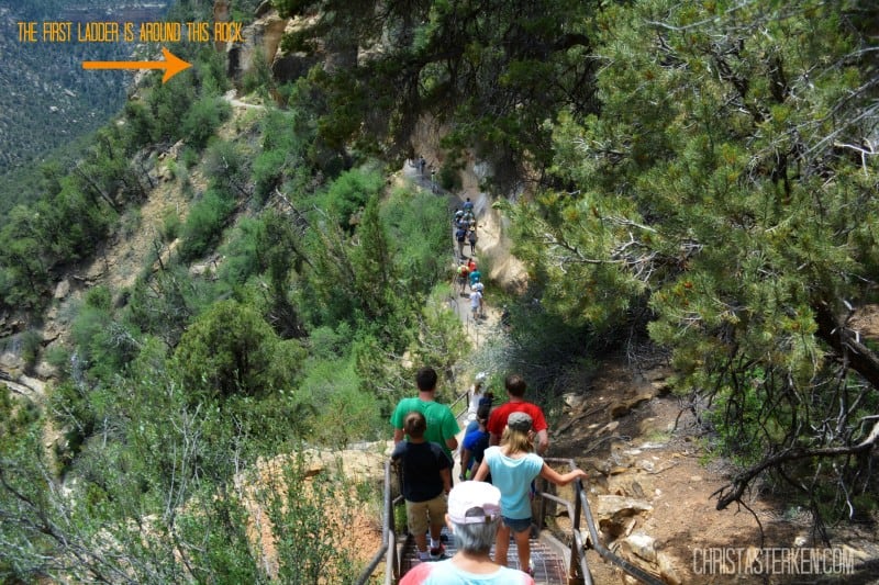 Face Fear In A Mesa Verde Cliff Dwelling (how I overcame the scariest day of my life) 