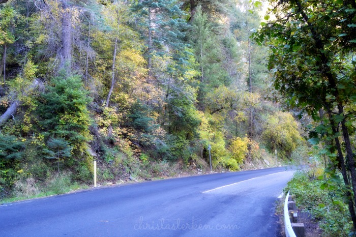 Rekindling family in oak creek canyon www.christasterken.com