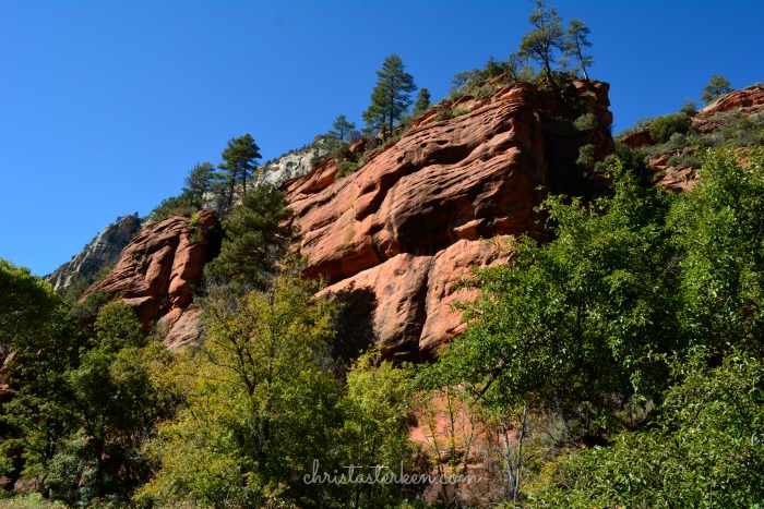 Rekindling family in oak creek canyon www.christasterken.com