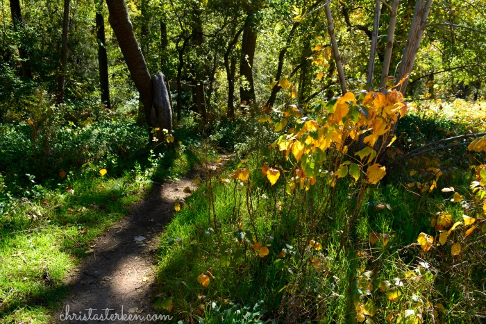 Rekindling family in oak creek canyon www.christasterken.com