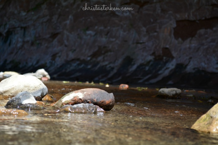 Rekindling family in oak creek canyon www.christasterken.com