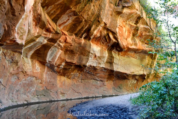 Rekindling family in oak creek canyon www.christasterken.com