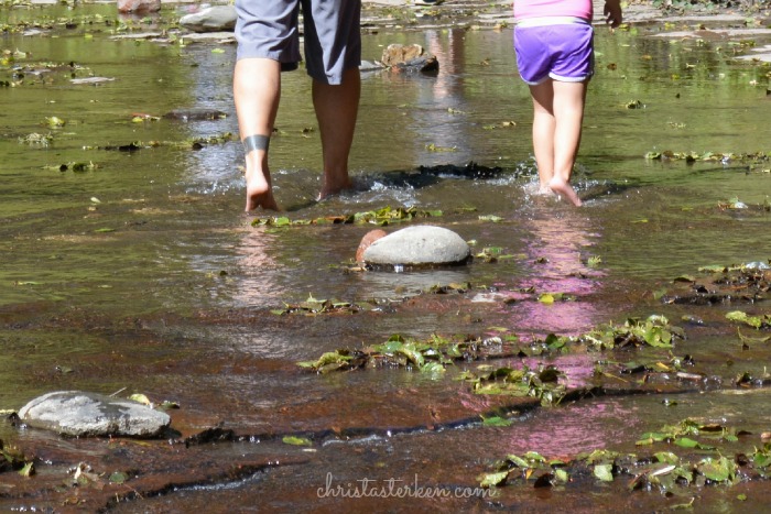 Rekindling family in oak creek canyon www.christasterken.com