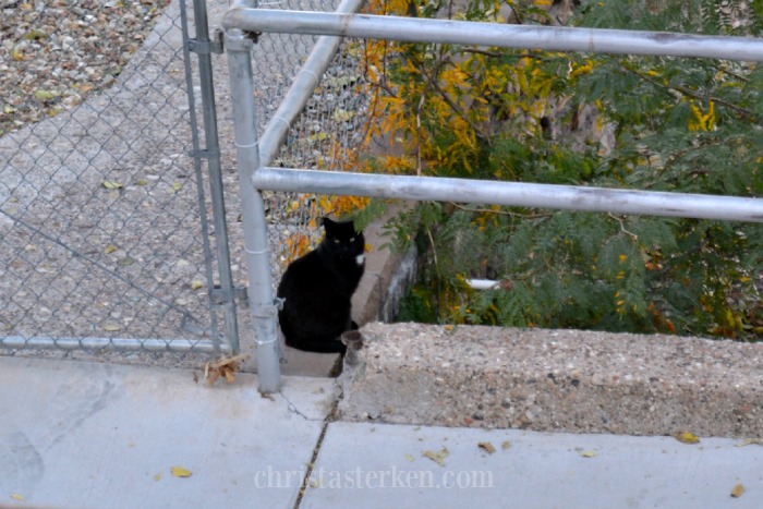 Photography {Historic Jerome, AZ}