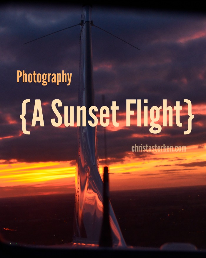 Sunset Flight- Photography