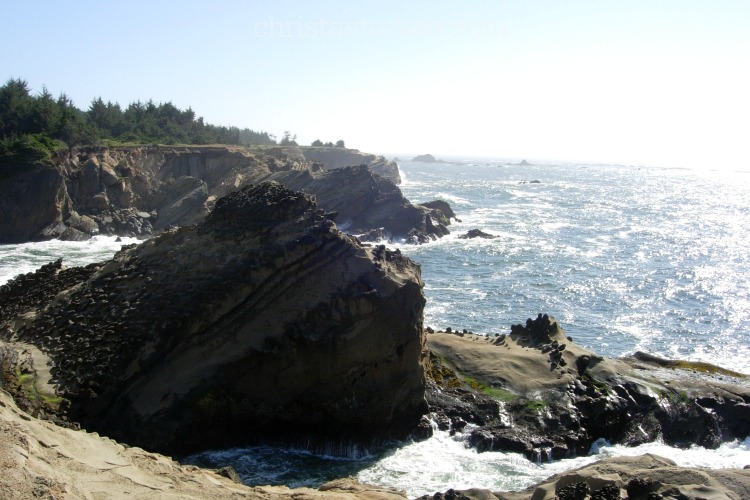 cliffs at cape arago