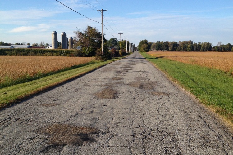 country lane through cornfields