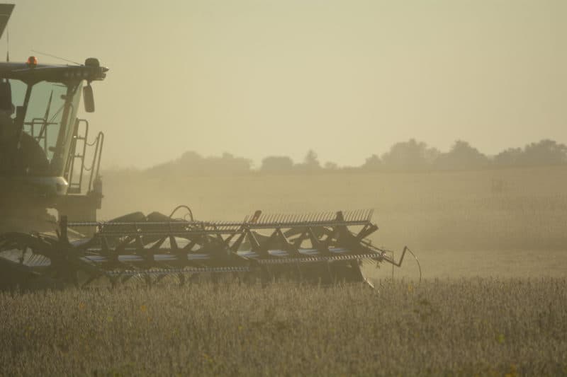 combine harvesting in the midwest