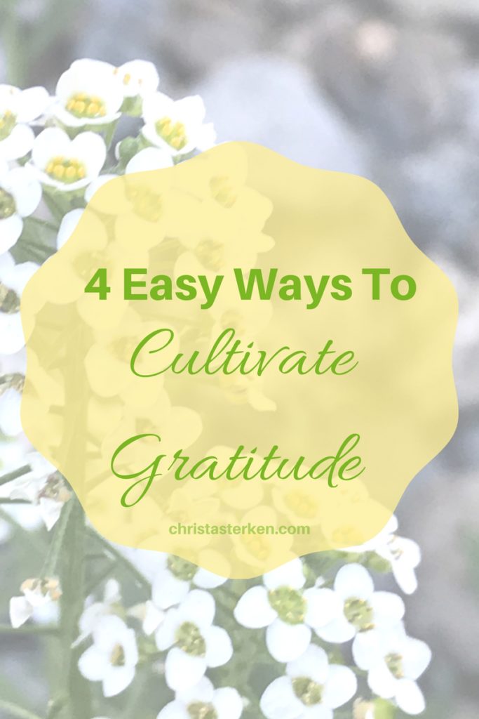 Cultivate Gratitude in life- 4 easy ways to start