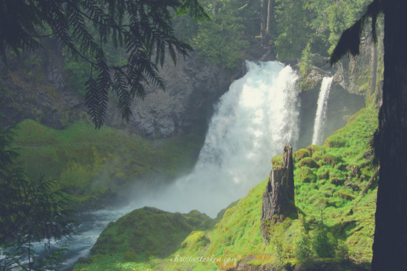 waterfall in rain forest