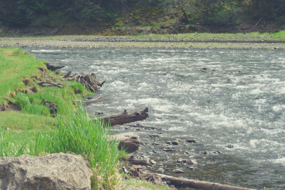 a fast moving river bank