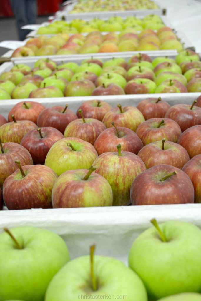 apples at state fair