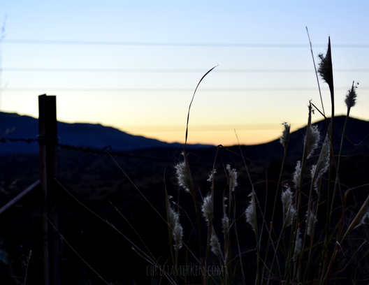 sunset outline countryside