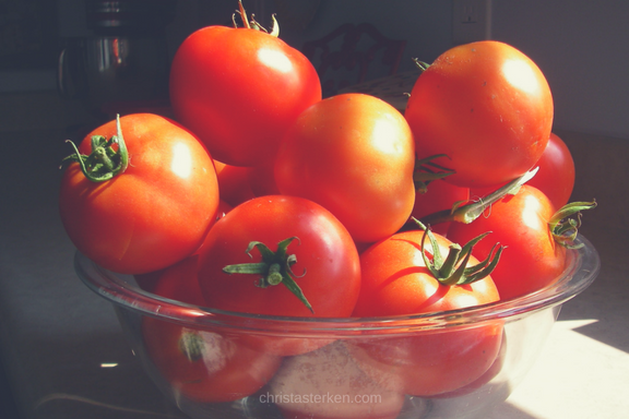 bowl fresh tomatoes