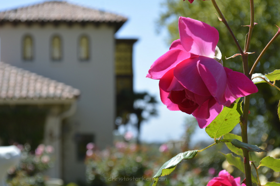 Photography {Hearst Castle}