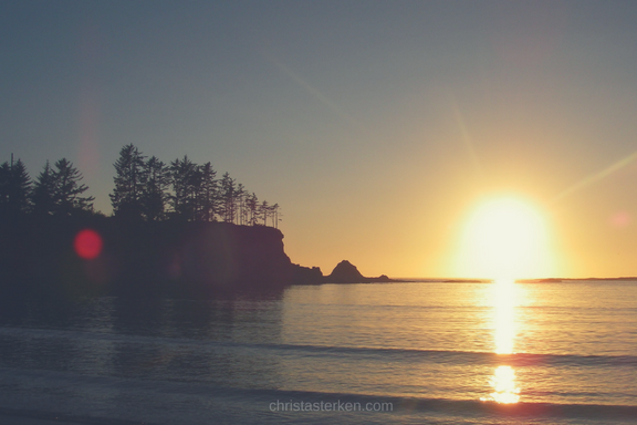 sunset on ocean bay with pine trees