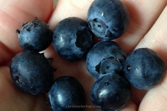 handful of blueberries