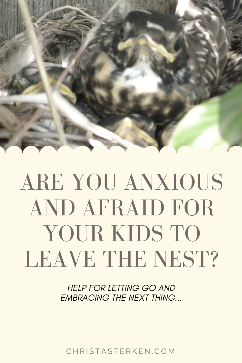 Re- feathering the empty nest- facing the anxiety with grace