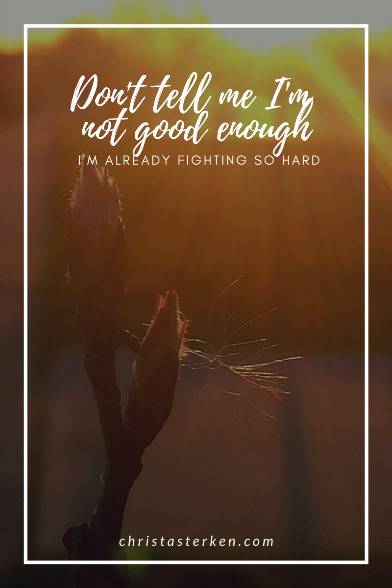 Don't Tell Me I'm Not Good Enough, I'm already fighting so hard