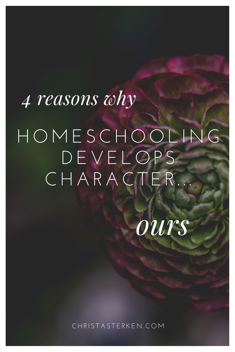 4 surprising homeschool lessons about character