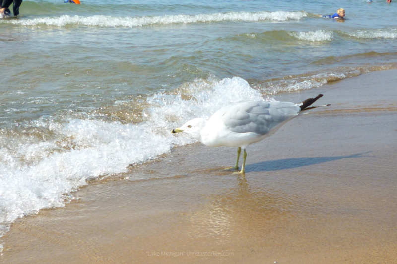 Photography {Lake Michigan}