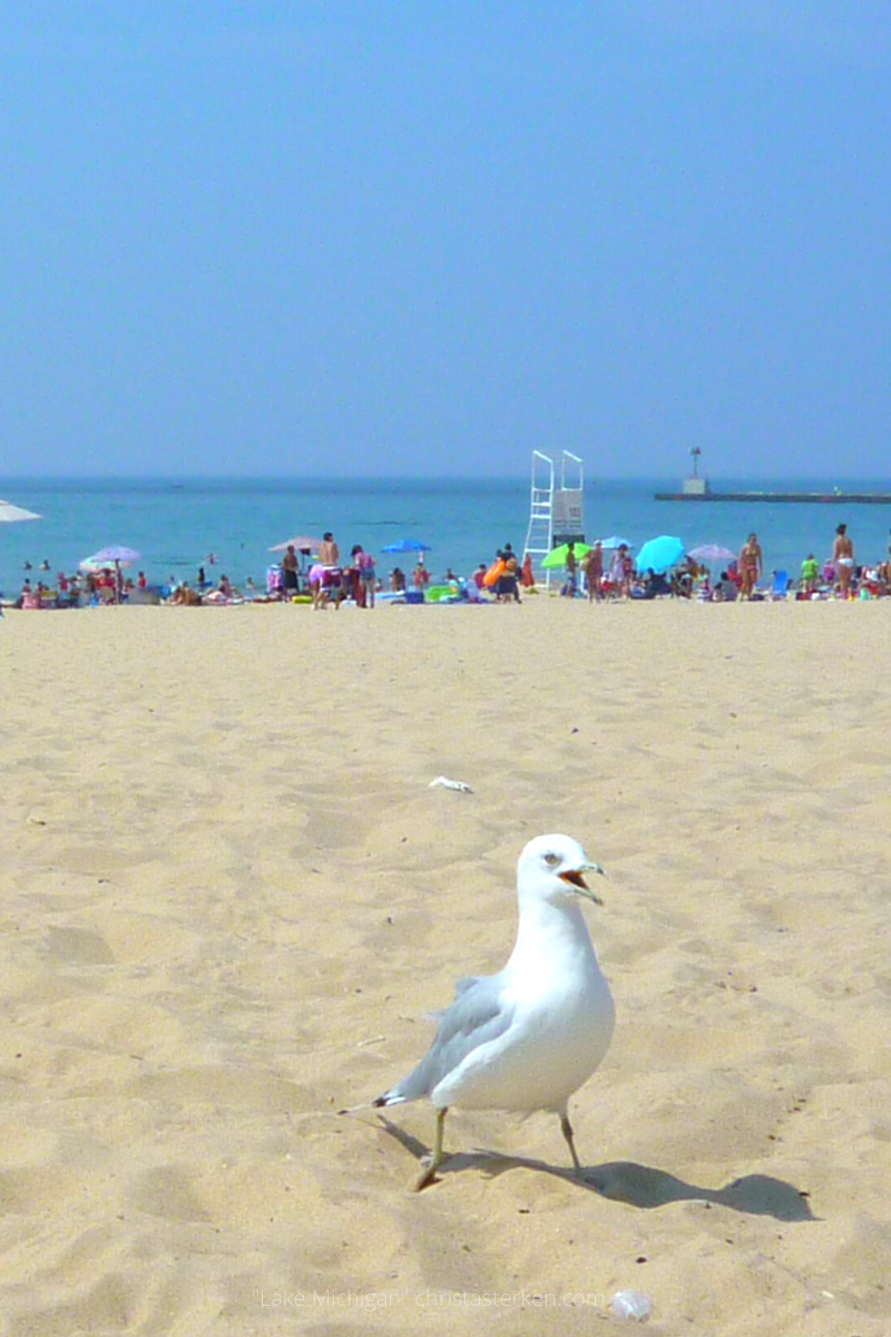 Photography {Lake Michigan}