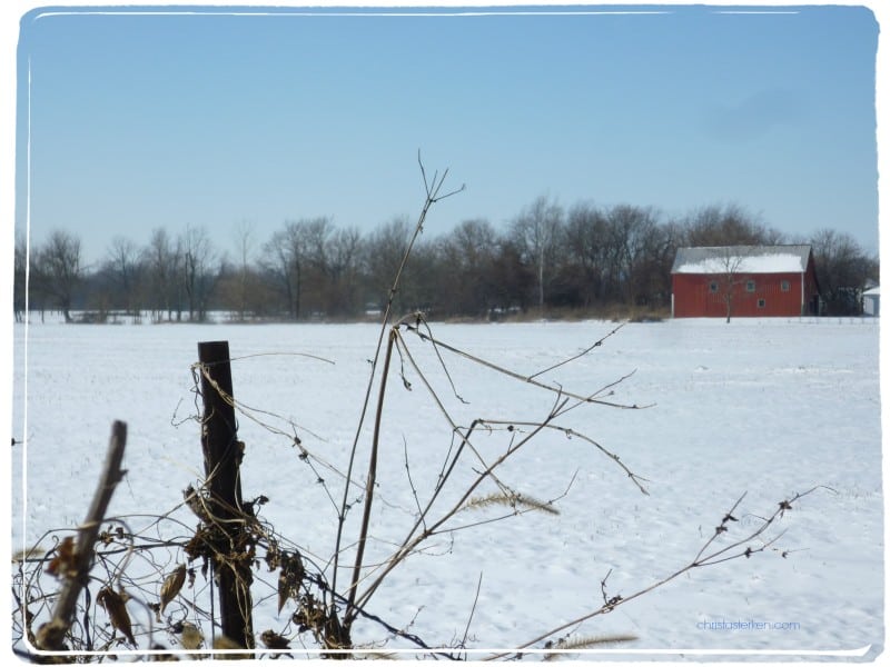 snow on the prairie