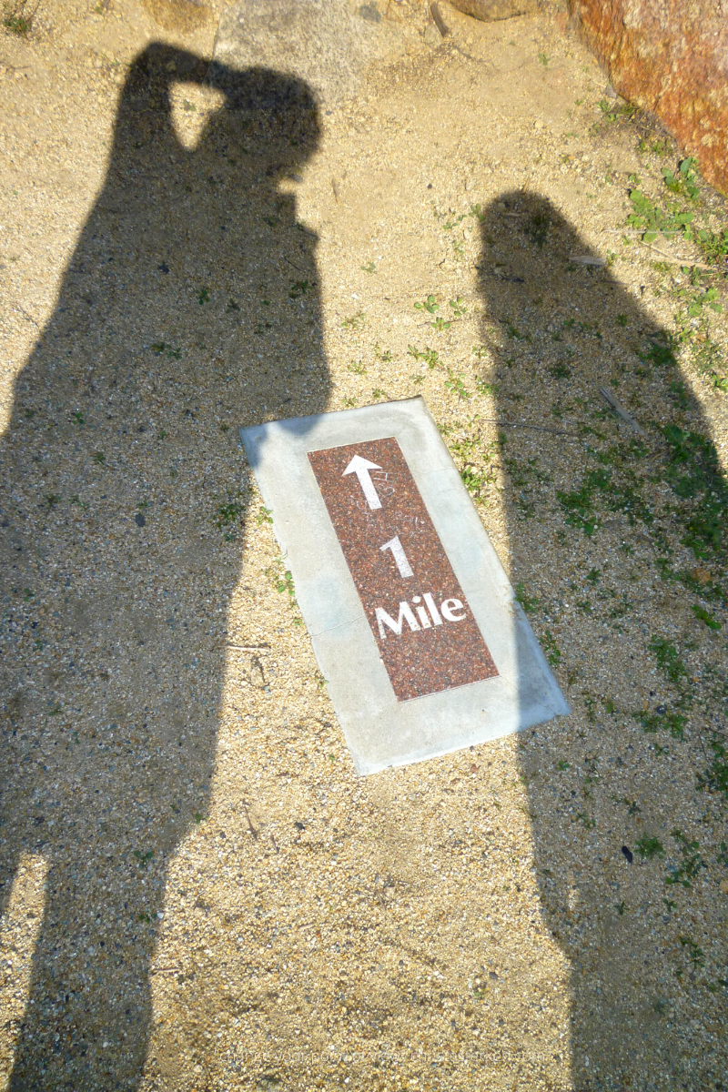 shadows on a hike