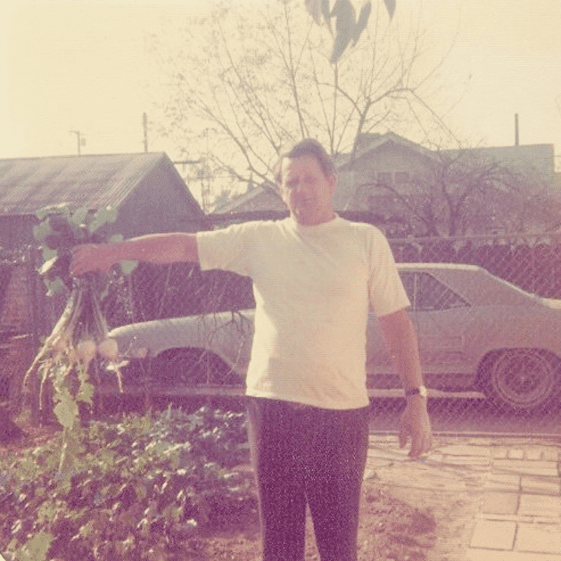 vintage man gardening