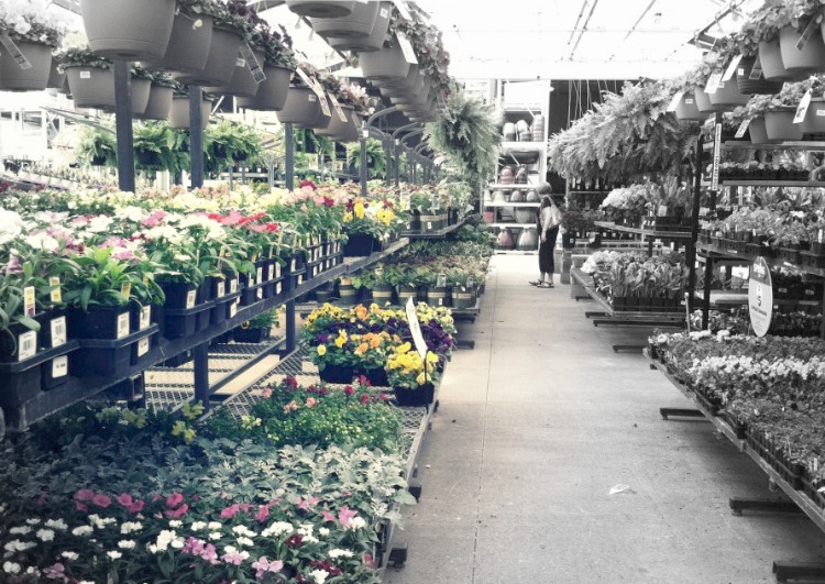 a garden center