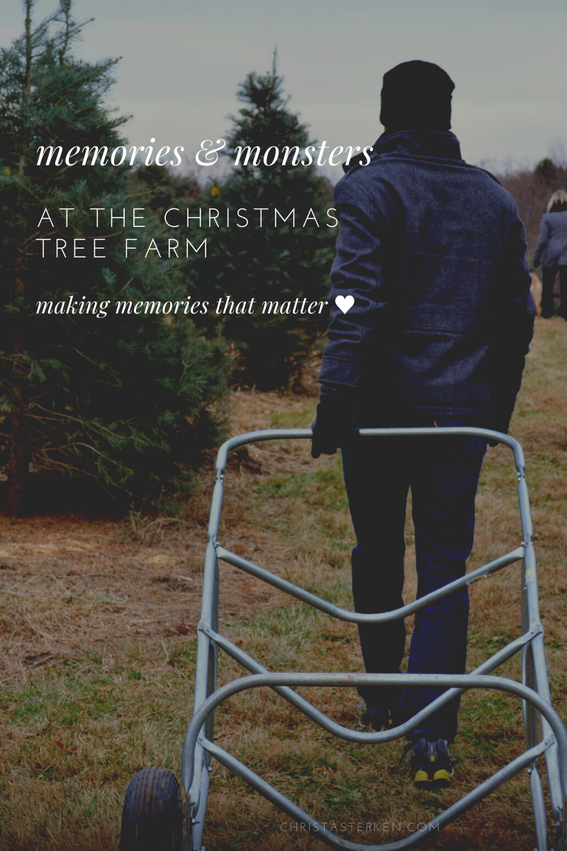 Christmas tree farms (making memories that matter)