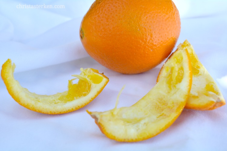 Photography (SoCal Orange Blossoms}