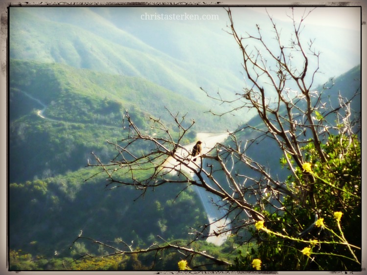 Photography {California Dreaming-San Bernardino Mountains}