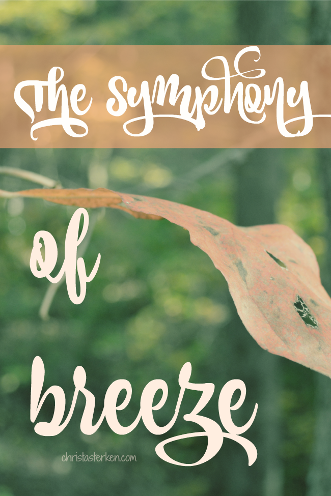 The Symphony Of Breeze