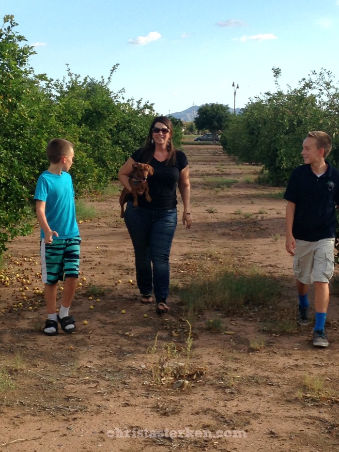 lady and sons found their dog