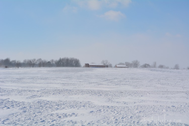 Photography {Arctic Blast Winter Storm} 