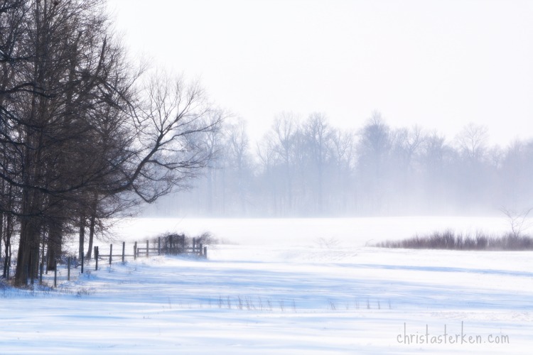 Photography {Arctic Blast Winter Storm} 