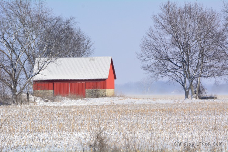 Photography {Arctic Blast Winter Storm} 