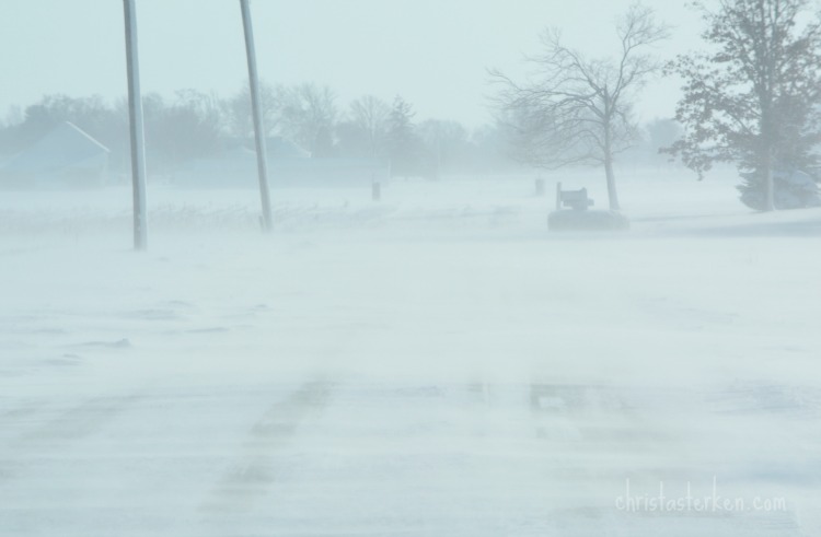 Photography {Arctic Blast Winter Storm} 