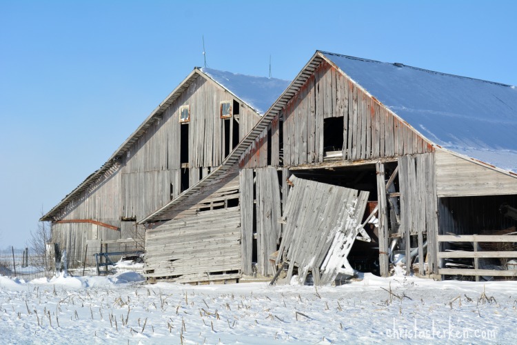 Photography {Arctic Blast Winter Storm} 