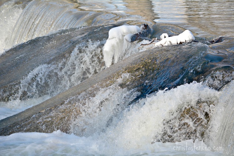 Photography {Arctic Blast Winter Storm} 